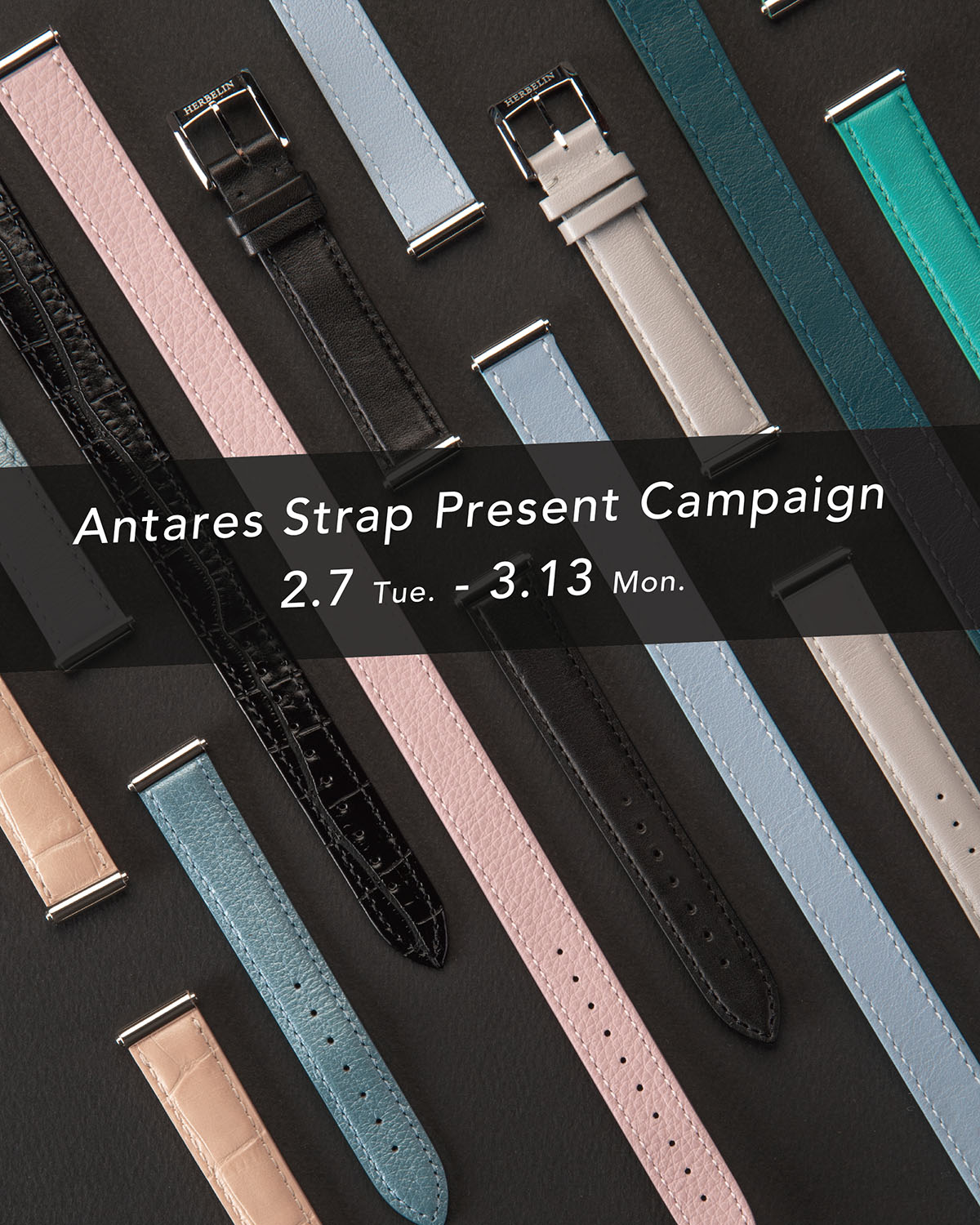 antares strap present campaign 2023